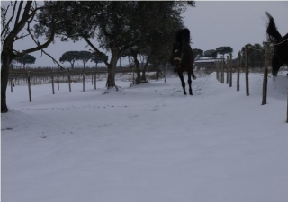 Correre liberi